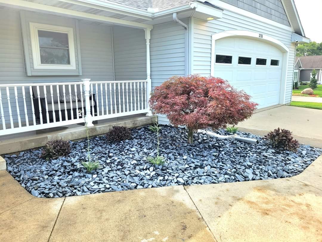 Japanese maple and black rock bed, West Michigan